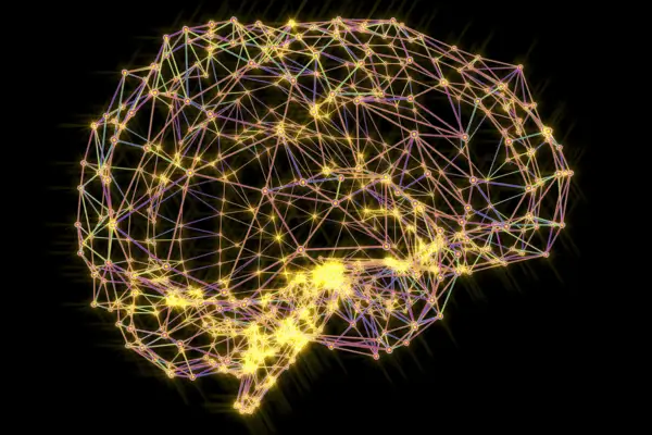 Neuroplasticidade